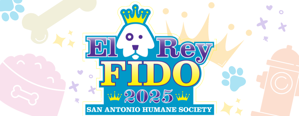 El Rey Fido 2025